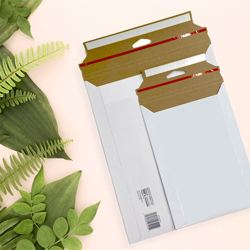 Biodegradable Documenti Envelopes